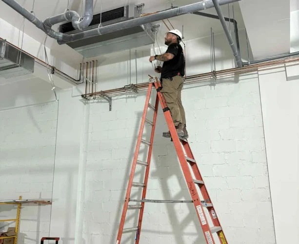 imgi_2_A32F2877-3C9A-44CB-8CA4-C2D5942DB5DC